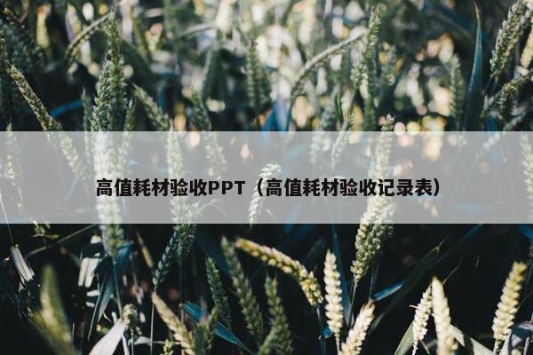 高值耗材验收PPT(高值耗材验收记录表) 高值耗材验收PPT(高值耗材验收记录表)
