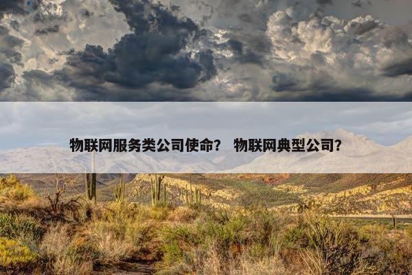 物联网服务类公司使命？ 物联网典型公司？