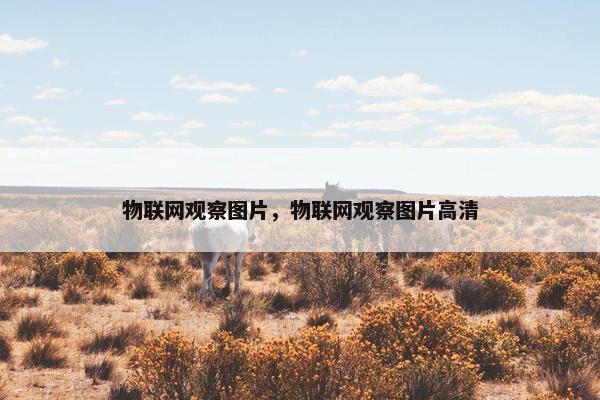 物联网观察图片，物联网观察图片高清