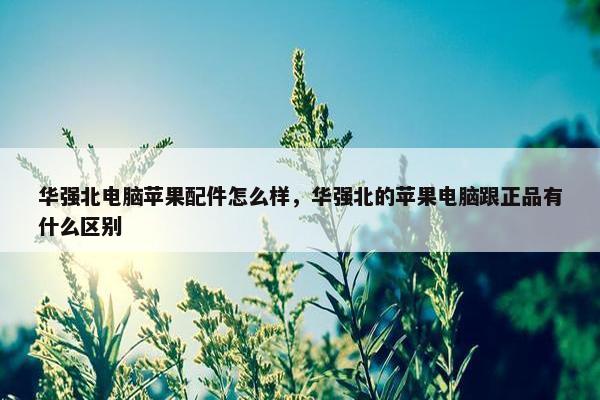 华强北电脑苹果配件怎么样，华强北的苹果电脑跟正品有什么区别