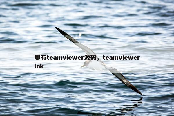 哪有teamviewer源码，teamviewerlnk