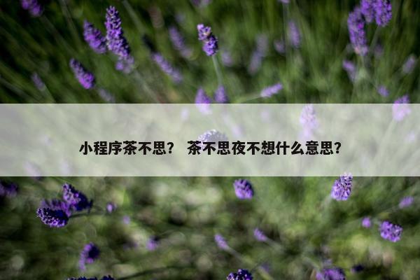 小程序茶不思？ 茶不思夜不想什么意思？