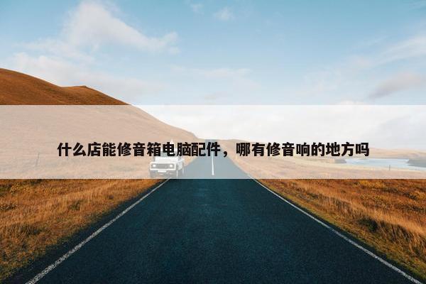 什么店能修音箱电脑配件，哪有修音响的地方吗