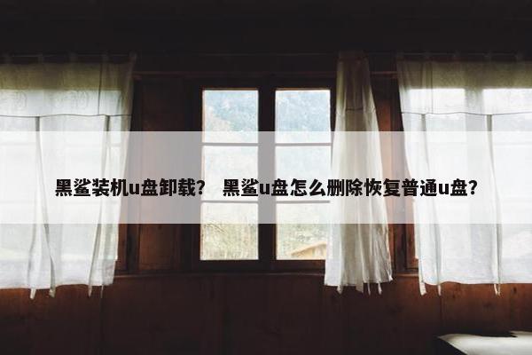 黑鲨装机u盘卸载？ 黑鲨u盘怎么删除恢复普通u盘？