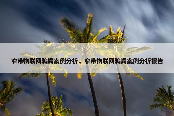 窄带物联网骗局案例分析，窄带物联网骗局案例分析报告