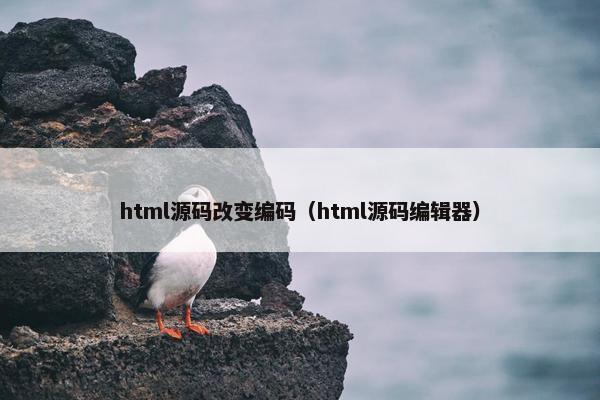 html源码改变编码（html源码编辑器）