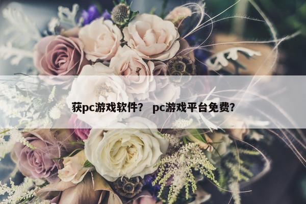 获pc游戏软件？ pc游戏平台免费？