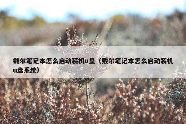戴尔笔记本怎么启动装机u盘（戴尔笔记本怎么启动装机u盘系统）
