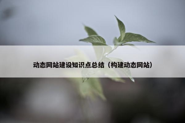 动态网站建设知识点总结（构建动态网站）