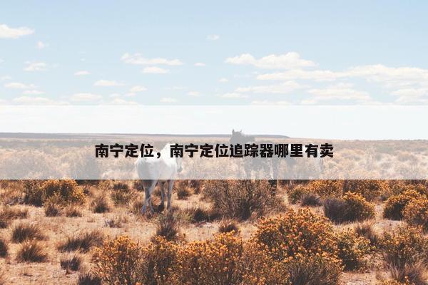 南宁定位，南宁定位追踪器哪里有卖