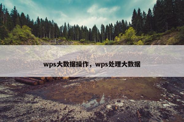 wps大数据操作，wps处理大数据