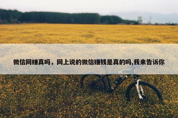 微信网赚真吗，网上说的微信赚钱是真的吗,我来告诉你