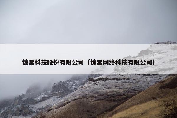惊雷科技股份有限公司（惊雷网络科技有限公司）