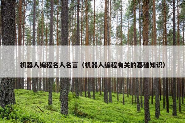 机器人编程名人名言（机器人编程有关的基础知识）