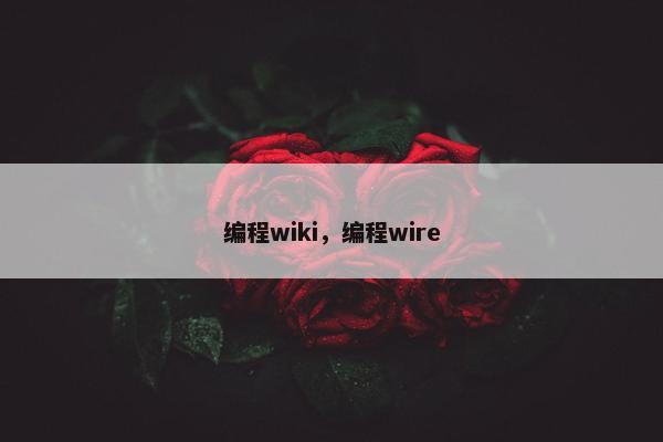 编程wiki，编程wire