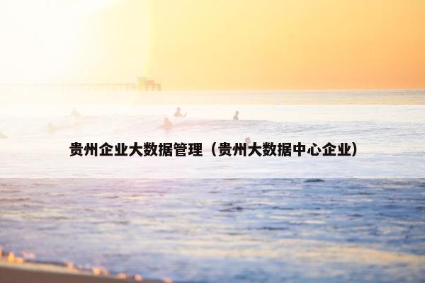 贵州企业大数据管理（贵州大数据中心企业）