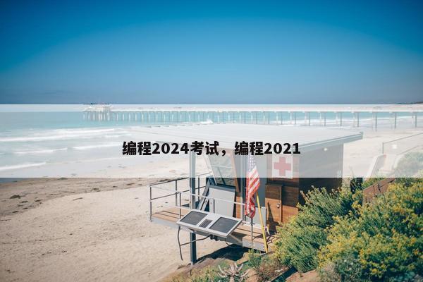 编程2024考试，编程2021