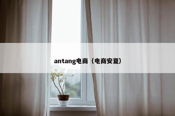 antang电商（电商安夏）
