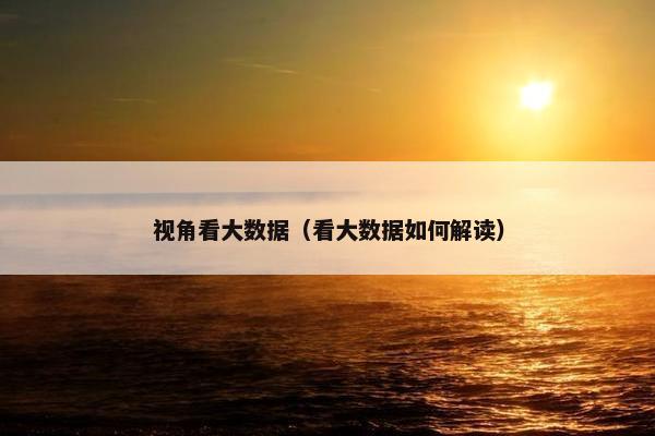 视角看大数据（看大数据如何解读）