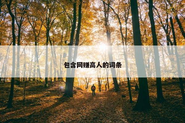 包含网赚高人的词条