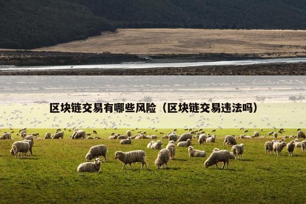 区块链交易有哪些风险（区块链交易违法吗）