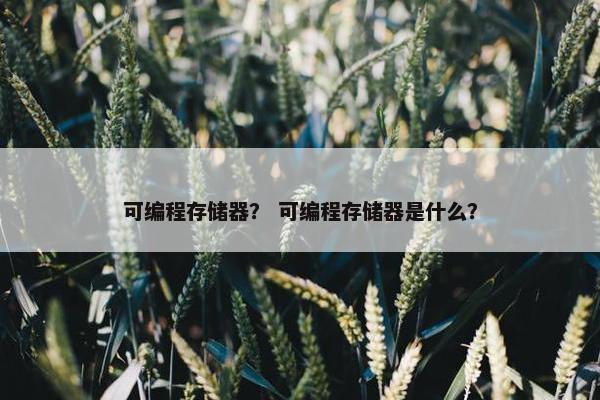 可编程存储器？ 可编程存储器是什么？