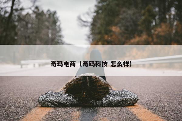 奇玛电商（奇码科技 怎么样）