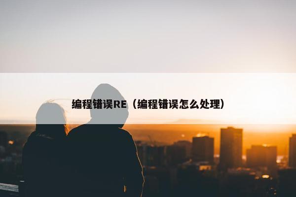 编程错误RE（编程错误怎么处理）