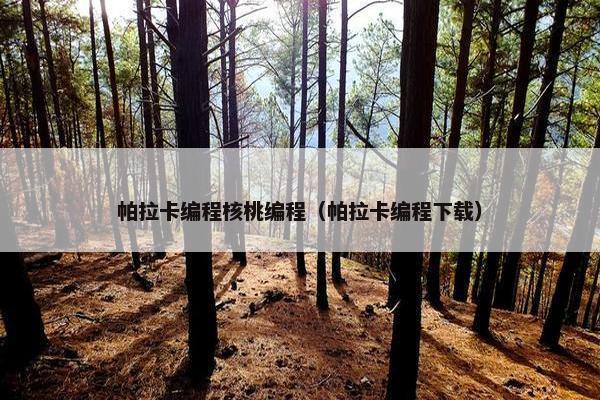 帕拉卡编程核桃编程（帕拉卡编程下载）