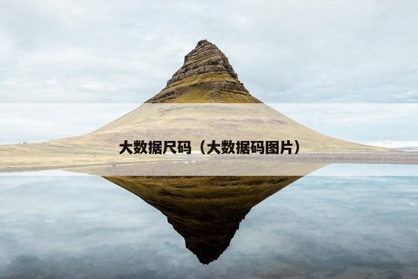 大数据尺码（大数据码图片）