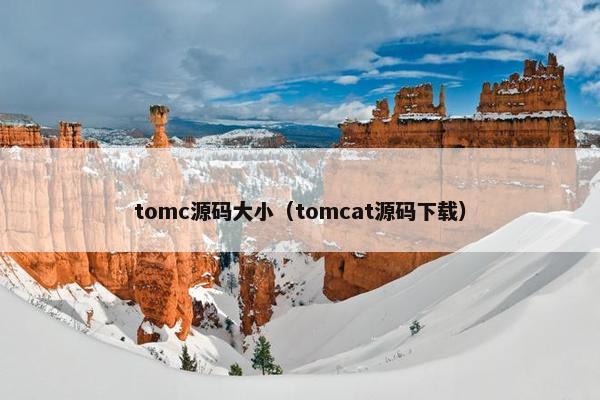 tomc源码大小（tomcat源码下载）