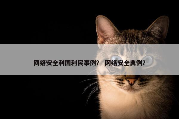 网络安全利国利民事例？ 网络安全典例？