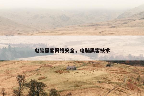 电脑黑客网络安全，电脑黑客技术