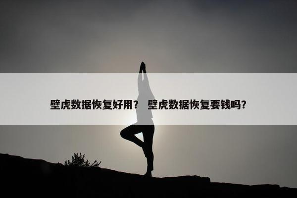 壁虎数据恢复好用？ 壁虎数据恢复要钱吗？