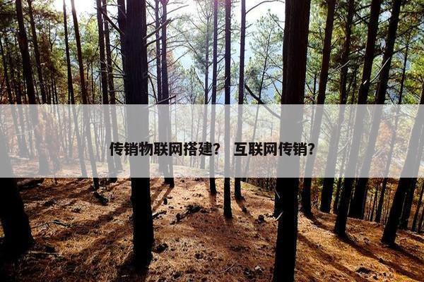 传销物联网搭建？ 互联网传销？