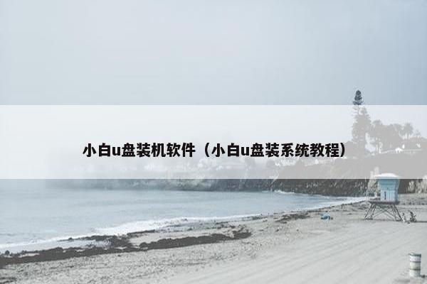 小白u盘装机软件（小白u盘装系统教程）