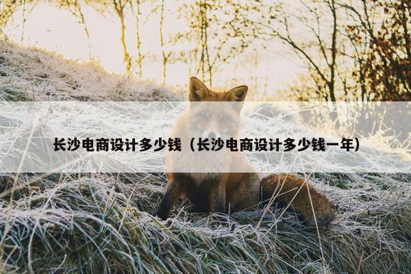 长沙电商设计多少钱（长沙电商设计多少钱一年）