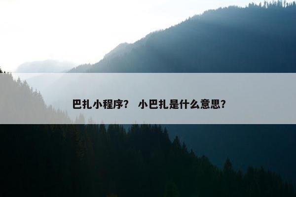 巴扎小程序？ 小巴扎是什么意思？