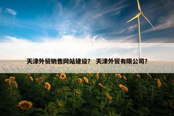 天津外贸销售网站建设？ 天津外贸有限公司？