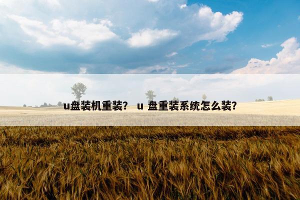 u盘装机重装？ u 盘重装系统怎么装？