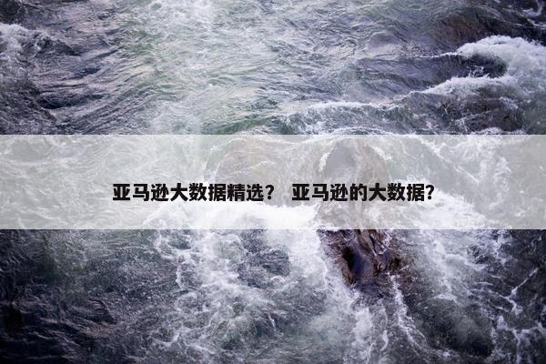 亚马逊大数据精选？ 亚马逊的大数据？