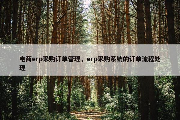 电商erp采购订单管理，erp采购系统的订单流程处理
