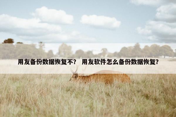 用友备份数据恢复不？ 用友软件怎么备份数据恢复？