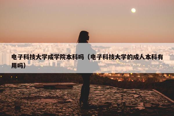 电子科技大学成学院本科吗（电子科技大学的成人本科有用吗）
