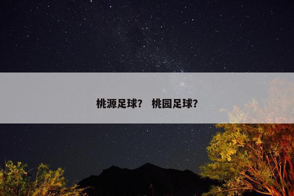 桃源足球？ 桃园足球？