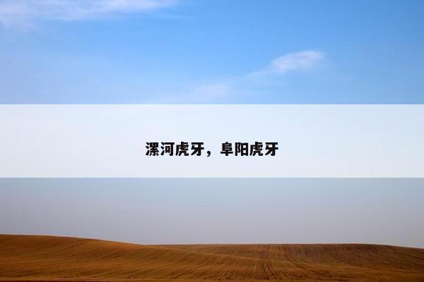 漯河虎牙，阜阳虎牙