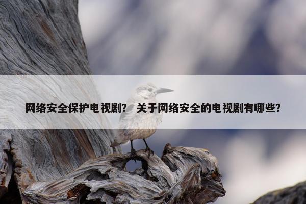网络安全保护电视剧？ 关于网络安全的电视剧有哪些？