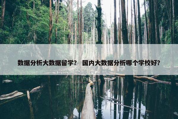 数据分析大数据留学？ 国内大数据分析哪个学校好？