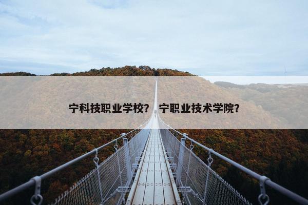 宁科技职业学校？ 宁职业技术学院？
