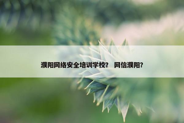 濮阳网络安全培训学校？ 网信濮阳？